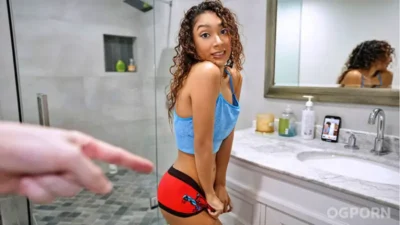 Underwear Thief